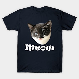 Funny Cute Cats Kittens Meow T-Shirt